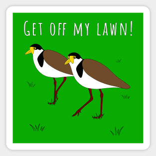 Get Off My Lawn Masked Lapwing Plover Sticker